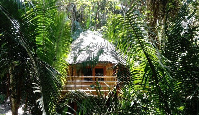Mint Cabin 1. Romantic Ecolodge in the jungle by the sea