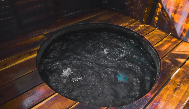 Mobile Home with Jacuzzi in Hgo.