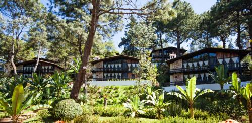 Monteverde in Mazamitla