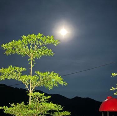 Moon House in Vinh Hy