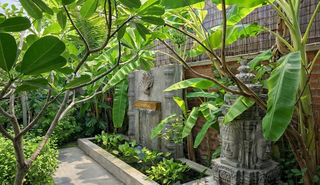 Moringa Tree Maison