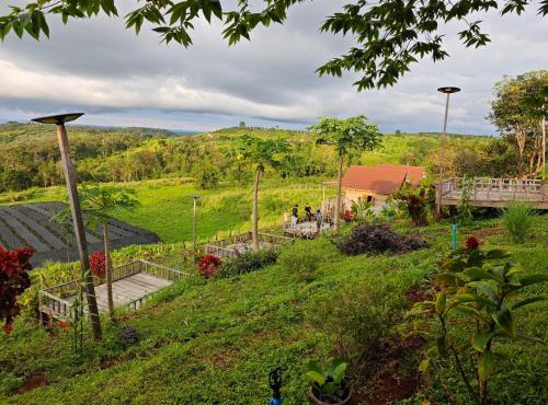 Natural House Farm Stay