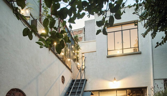 New apartment with garden views near Coyoacán