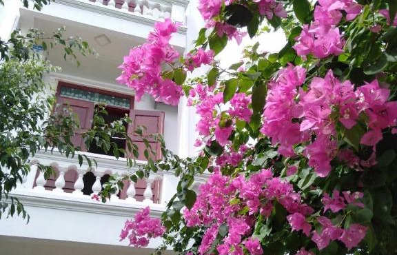 Nhà nghỉ Bolero