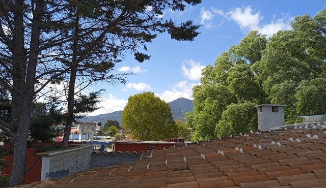 Nice Room in La Casa Del Rio Central with Terrace All Furnished
