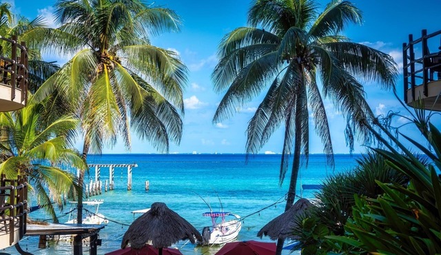 Oceanfront condo on beach w hot tub! Minutes walk to restaurants & bars! 2pools