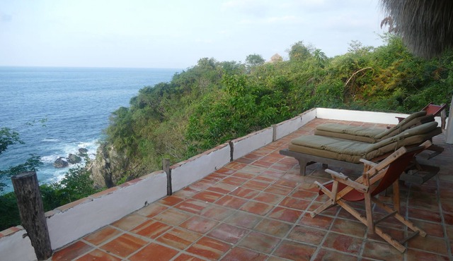 Oceanfront, Jungle Palapa With Fabulous Views Of Marine Life, Birds, And The Sky