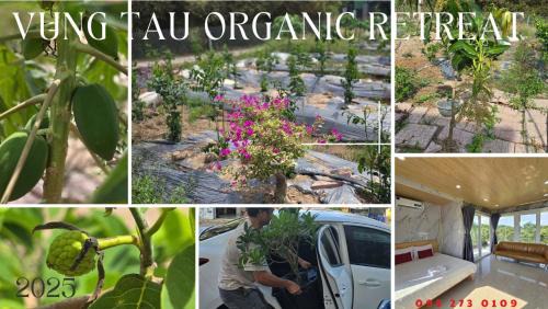 Osimi C11 - Homestay Phu My