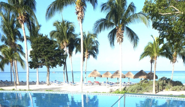 Paradise in Cozumel.... private beach, enjoy the blue view!