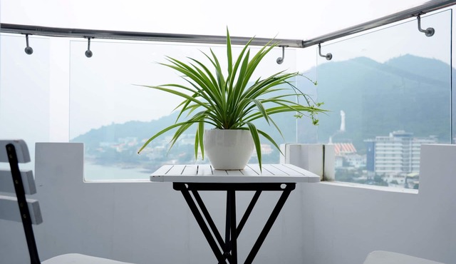 Peaceful oasis for a sweet escape in Vung Tau