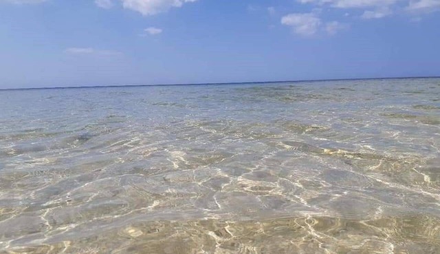 Perfect stay in Octopus 2 bedroom house 100 from the beach in San Crisanto