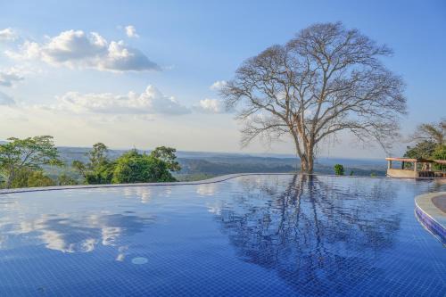 PIDA Coffee Farm Lodge Mondulkiri