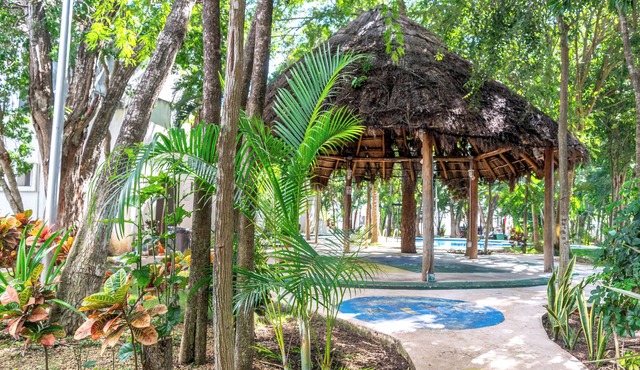 Playa House 4 Bedrooms Pool and More