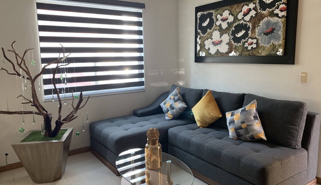 Plaza del Sol/Expo Guadalajara Complete Apartment (Ground Floor)