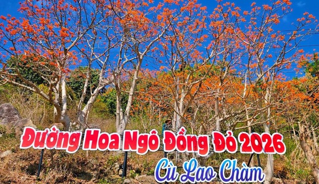 Quỳnh s House