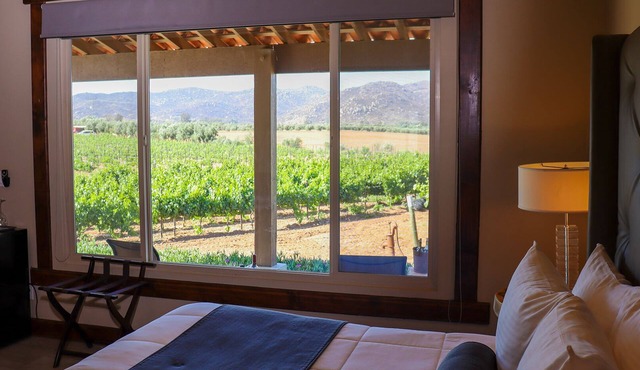 Rancho Los Retoños in Valle de Guadalupe