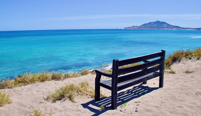 Remodeled vacation home - blissful seclusion near the beach and scuba diving!