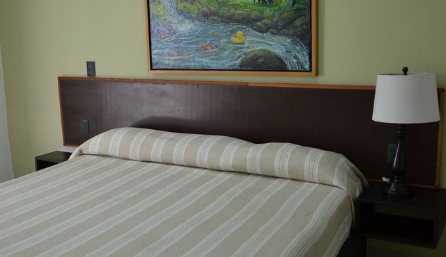 Renovated 5 Element house with small pool 15 minutes from downtown Oaxaca in Oaxaca de Juárez