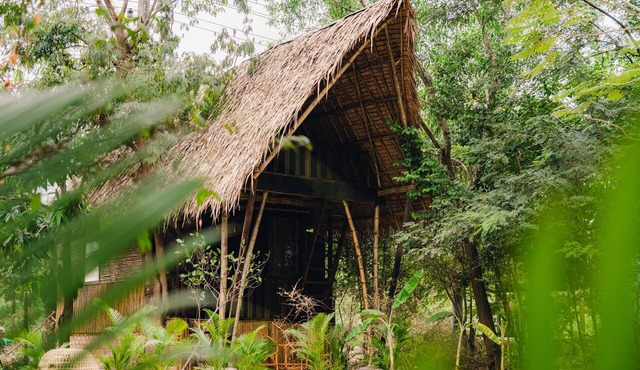 River Nest Hostel