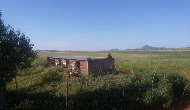 Rustic cabin surrounded by nature in Cuauhtemoc