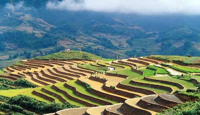 Sapa Homestay Trekking Tour For Backpackers