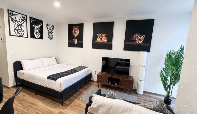 Serviced Studio in Mexico City