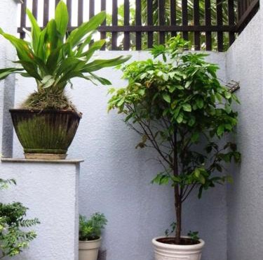 Shanti-blissed corner of Saigon river's end