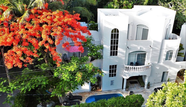 Spacious Oceanview Villa, steps to beach, 24hr gated community, Playacar Fase 1