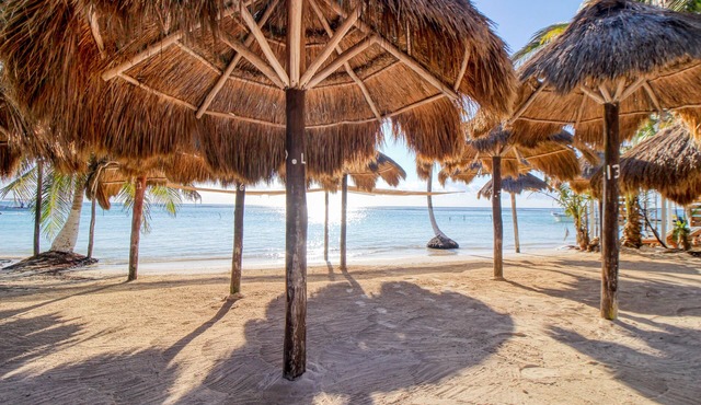 Spanish-style home with pool, W/D, 2 living areas & 2 kitchenettes - near beach