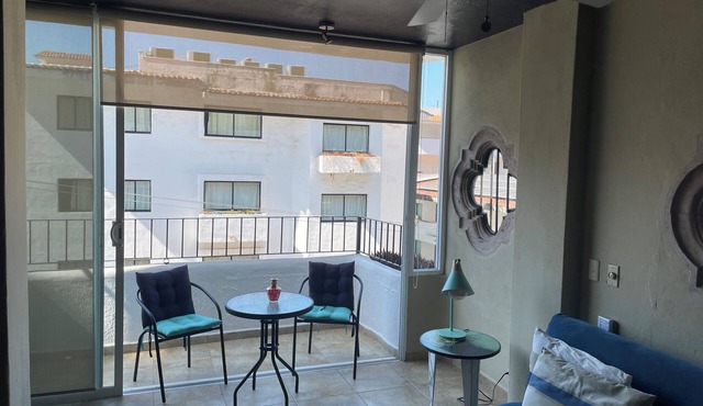 Styish and Spacious 1 Bedroom Condo in Zona Romantica