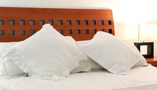 Suite 1-B El Rincón Garden House, Welcome To San Angel