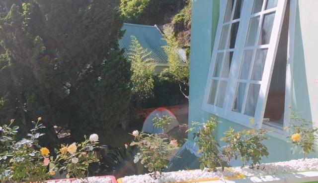 Sun Hills Homestay - White