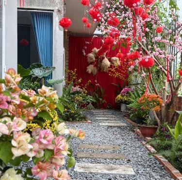 T-homestay Bình minh xanh