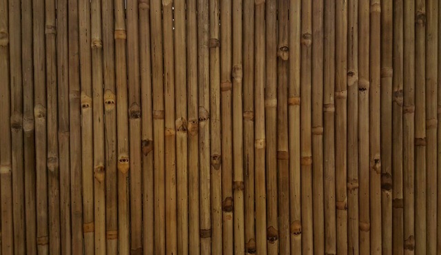 Tam Homestay Hue Viet Nam