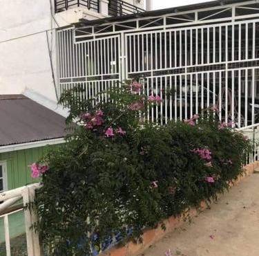 Thanh Ngọc Homestay 1