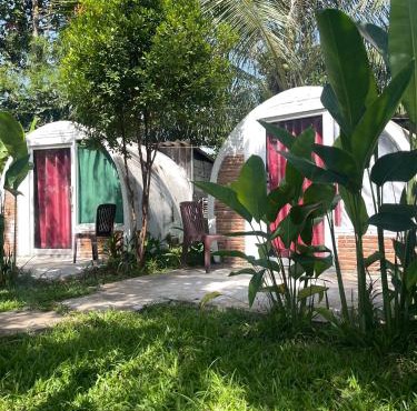 The Bear Bungalow