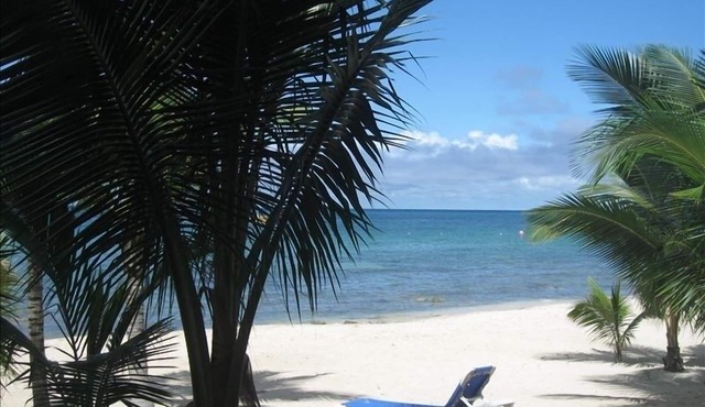 Three Steps Onto the Most Beautiful Beach in Cozumel