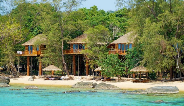Tree House Bungalows