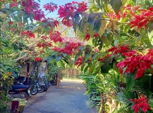 Tribal Village Homestay & Trekking
