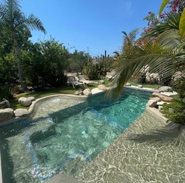 Tropical Oasis