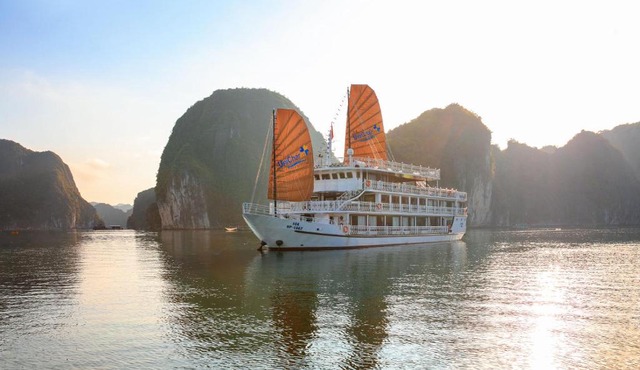 UniCharm Cruise