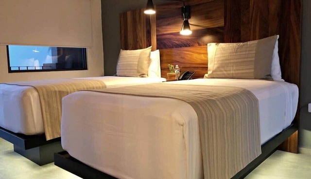 Unique 1BR Suite in San Jose del Cabo