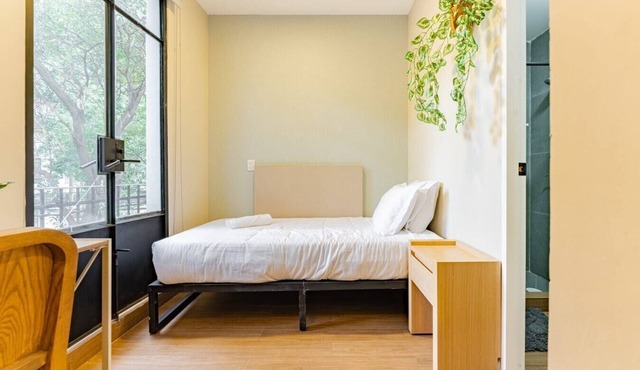 VH | Reforma | Suite Individual + Patio | 188