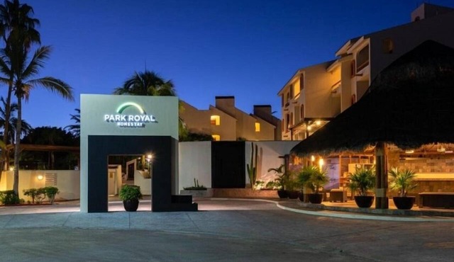 Vibrant Studio in San José del Cabo