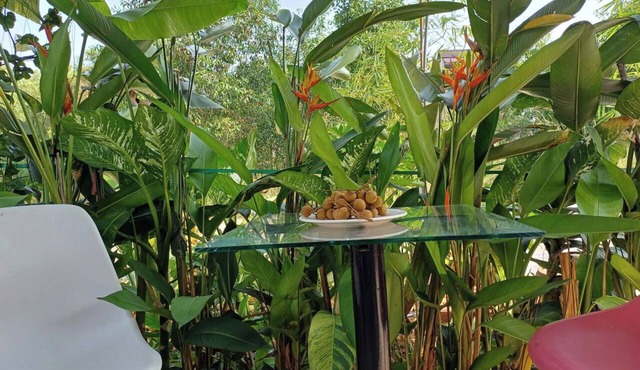 VILLA GARDEN LUCKY HOME
