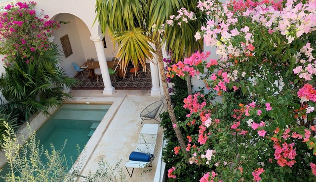 Villa Leonie - Serene & elegant historical 4bed home in superb location.