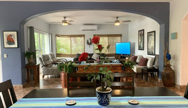 Villa Papaya, 2 bedrooms, specious, comfortable home, beach walkable.