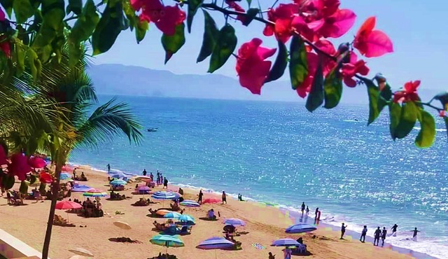 WEEKLY~MONTHLY RENTAL~OCEAN FRONT~WALK 2 BEACH~MALECON ~COUPLES GET AWAY~2 POOLS