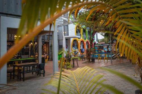 White Rabbit Hostel