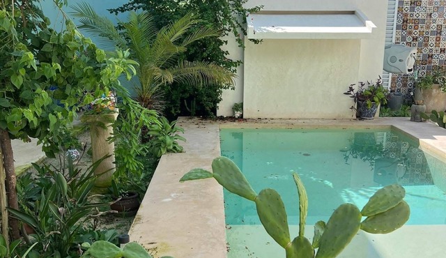 Your Mexican Oasis in quaint Chelem Yucatan close to the Gulf in Chelem